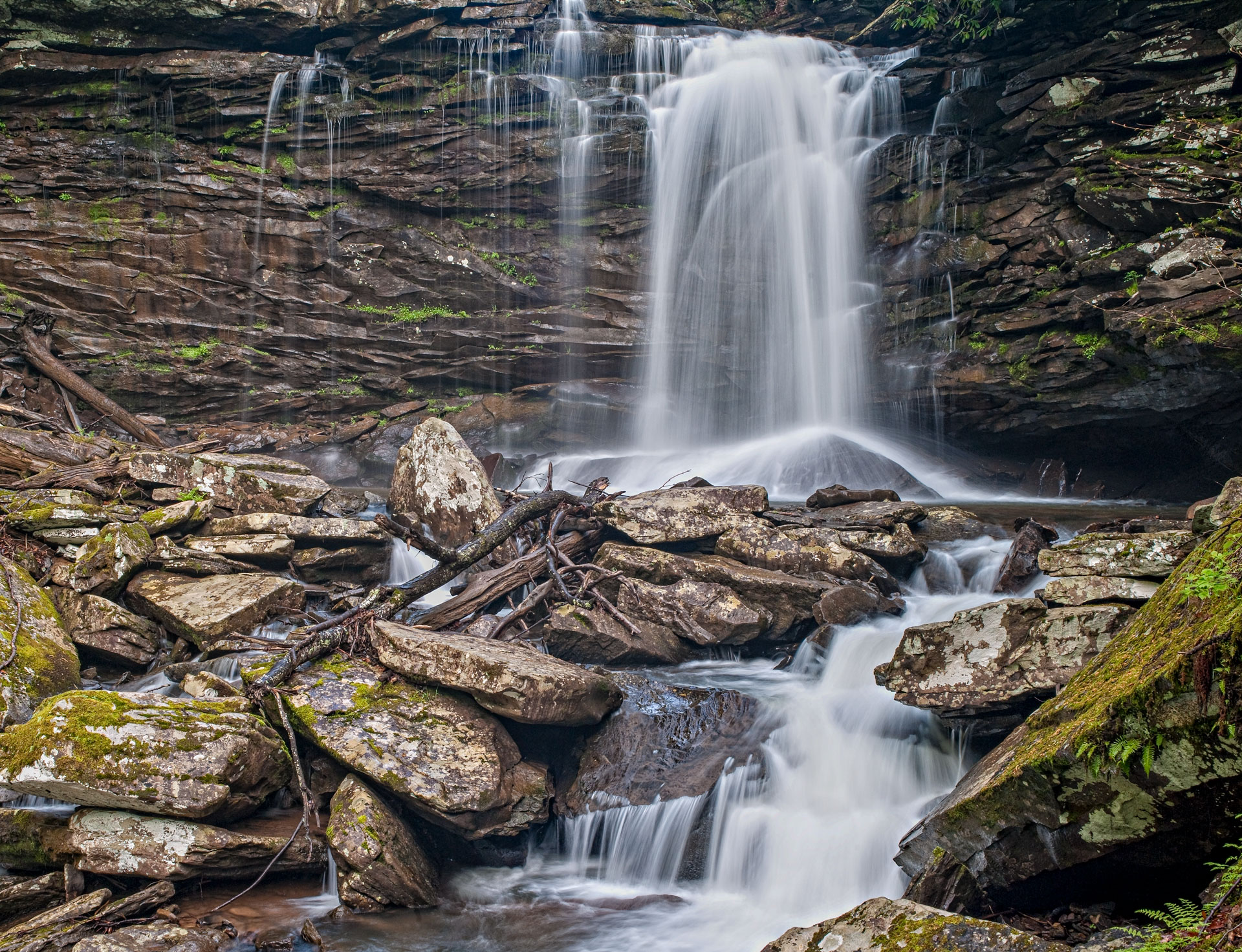 2nd PrizeMulti-Scape In Class 3 By Anne Rhoads For Lower Hill Creek Falls NOV-2024.jpg